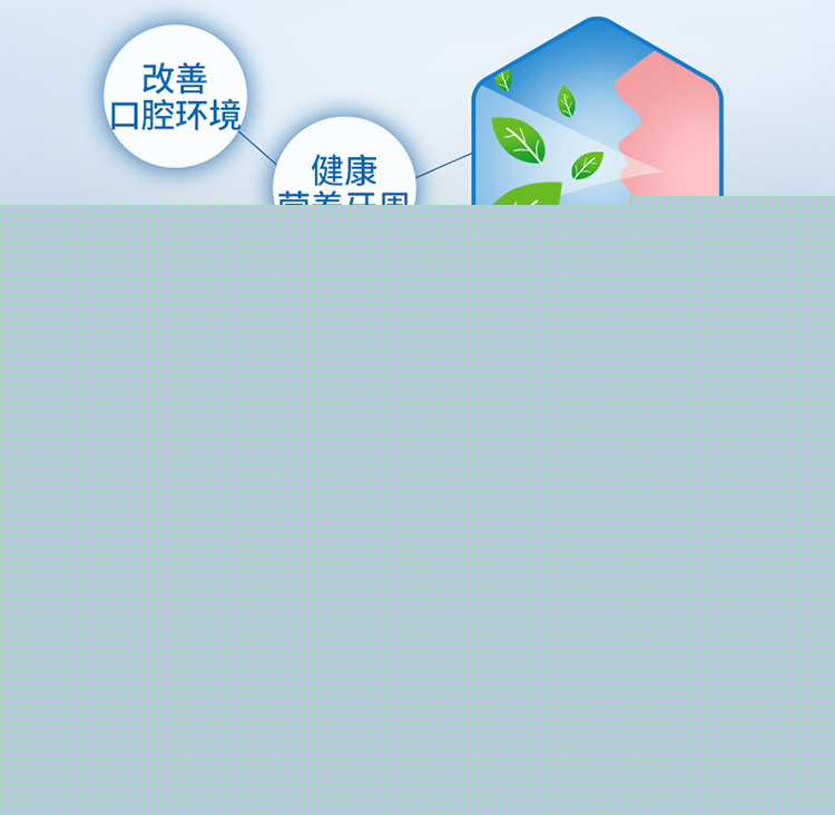 2-留兰-改-新包装_07.jpg